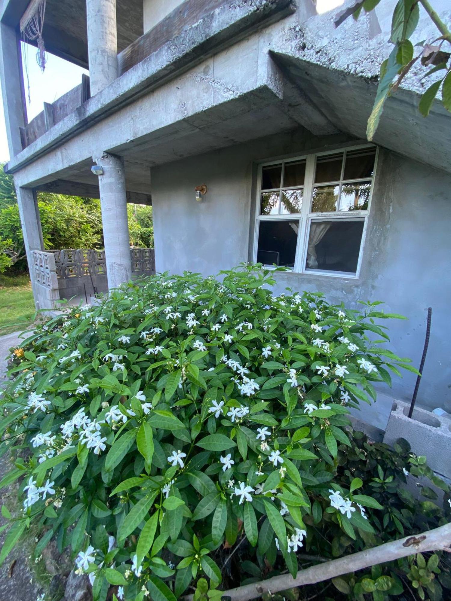 Ferienwohnung Coconut House Charlestown Nevis Exterior foto