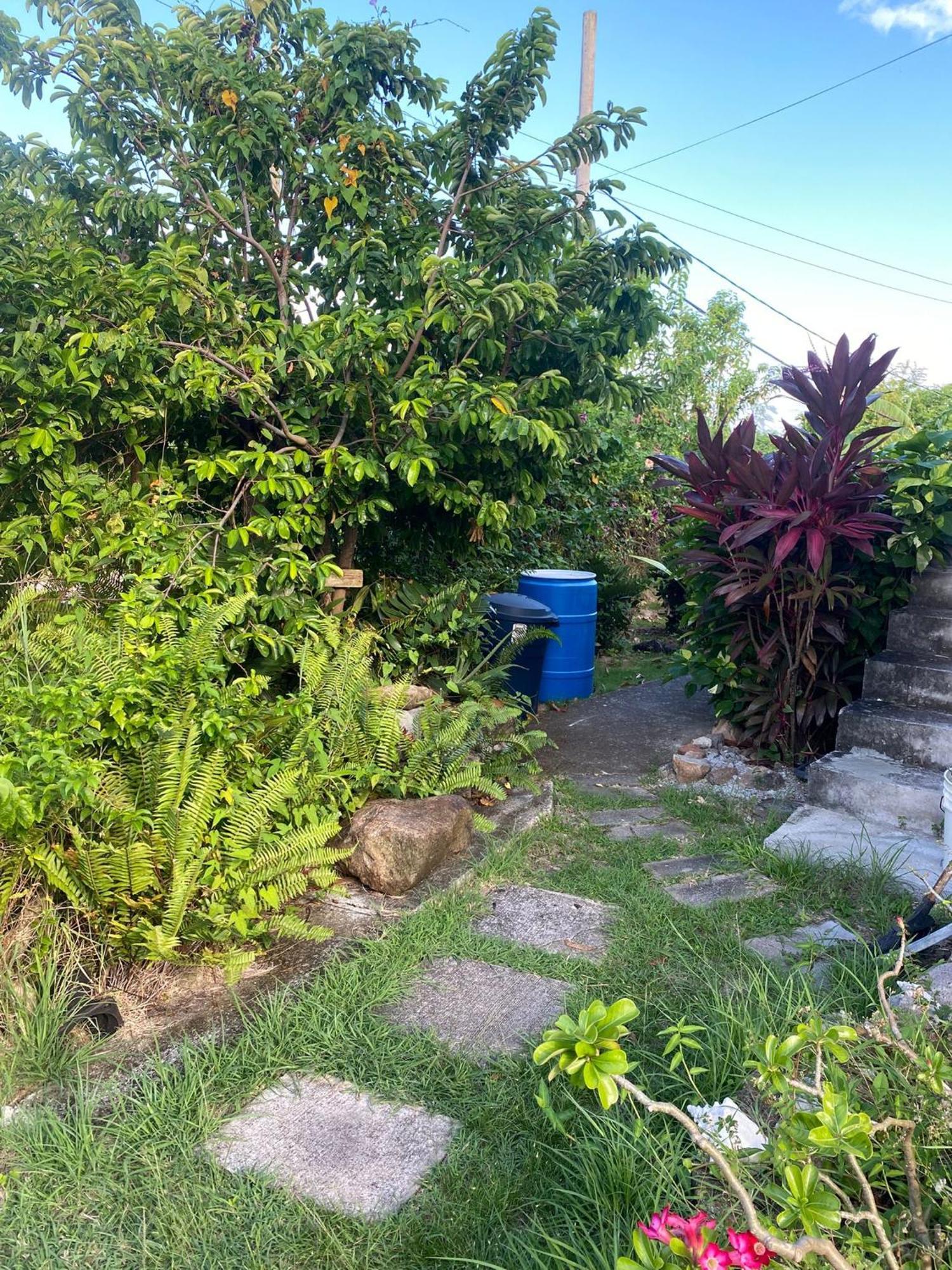 Ferienwohnung Coconut House Charlestown Nevis Exterior foto